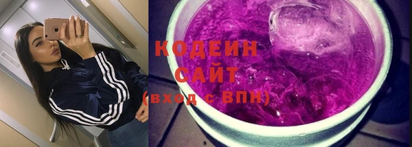 ПСИЛОЦИБИНОВЫЕ ГРИБЫ Арсеньев