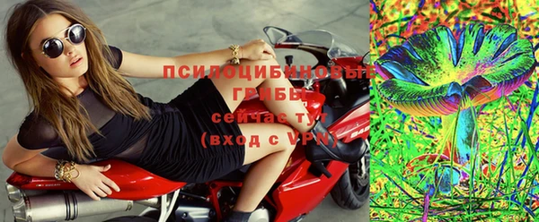 ПСИЛОЦИБИНОВЫЕ ГРИБЫ Арсеньев