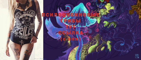 индика Балабаново
